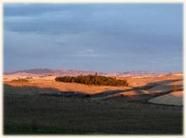 Fertile wheatfields in eastern Washington